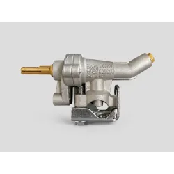 Recambio regulador Weber Spirit