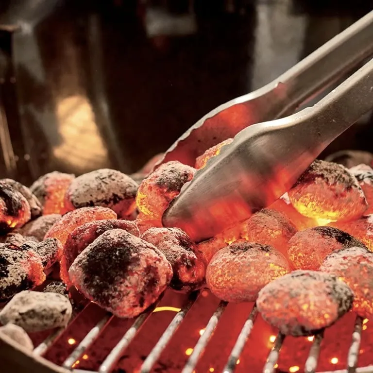 Briquetas Weber: qué son y diferencias con el carbón vegetal